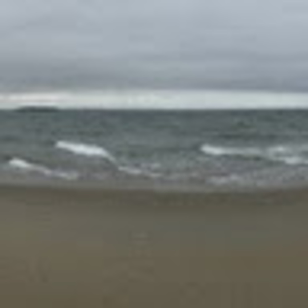 Meet your Posher, Laurel